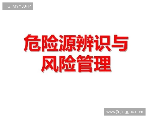皇家备用平台的风险管理策略及其防范措施 皇家备用平台的风险管理策略及其防范措施