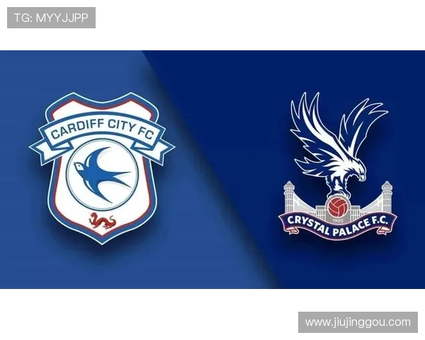 如何在水晶宫官网找到最新队徽信息与官方资源