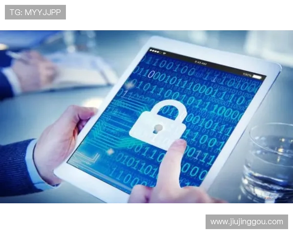 悦凯娱乐企业查安全保障措施，确保企业信息查询的隐私与数据安全