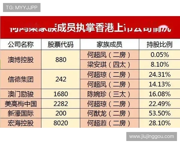 澳门六张赌牌持有者的详细背景与行业影响分析