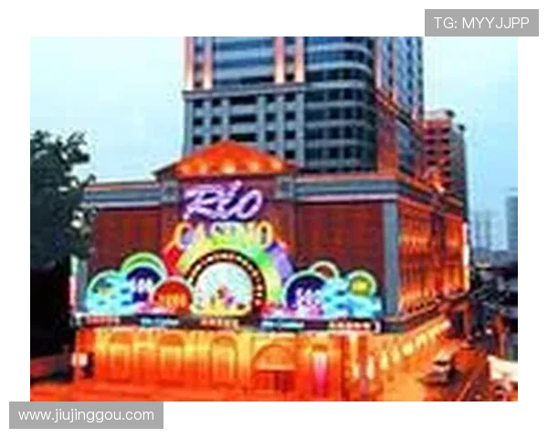 澳门利澳手机网址最新优惠信息，丰富的游戏选择满足不同玩家需求